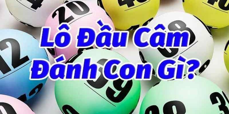 Vào cược lô trượt ở những con số xuất hiện thường xuyên