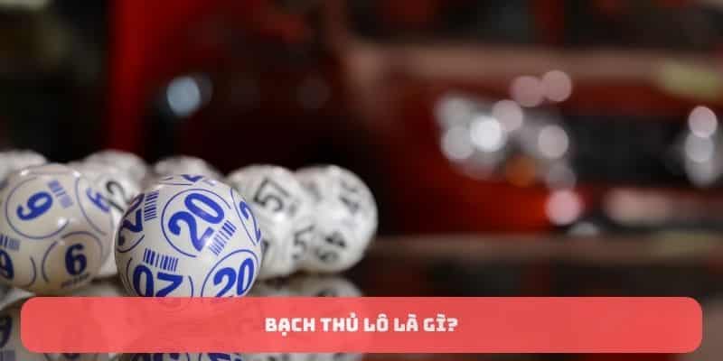 Bạch thủ lô là gì?